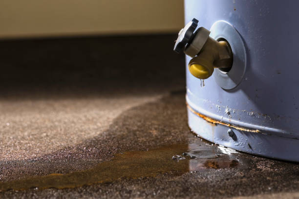 Best Water damage contractors near me  in St Paul, TX