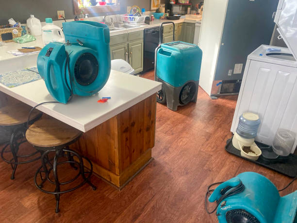 Best Residential water damage restoration  in St Paul, TX