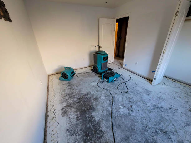 Best Fire Damage Restoration  in St Paul, TX
