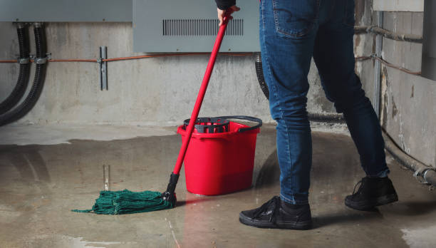 St Paul, TX Water damage restoration Company
