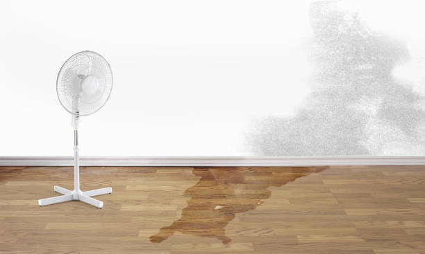 Best Commercial water damage restoration  in St Paul, TX