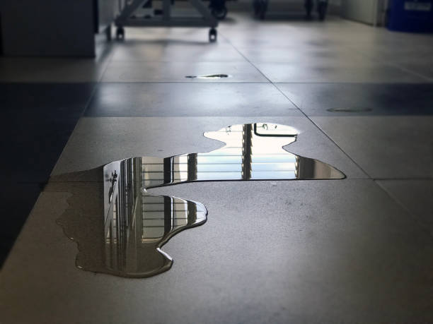 Best Water damage contractors near me  in St Paul, TX