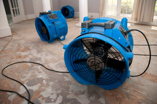 Best Water damage restoration company  in St Paul, TX