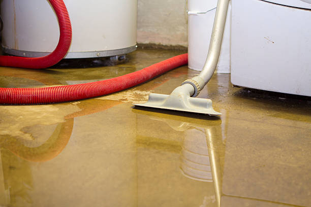 Best Basement water damage restoration  in St Paul, TX