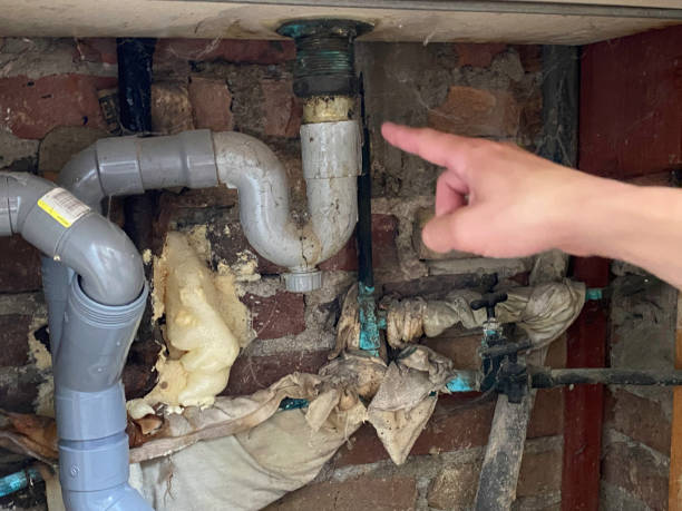 Best Water damage restoration mold remediation  in St Paul, TX